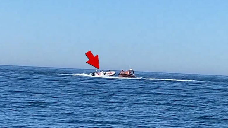 Illustration de l'article : Les autorités lancent une opération de sauvetage pour récupérer un chien laissé seul sur un bateau incontrôlable